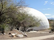 217 - Lung Dome